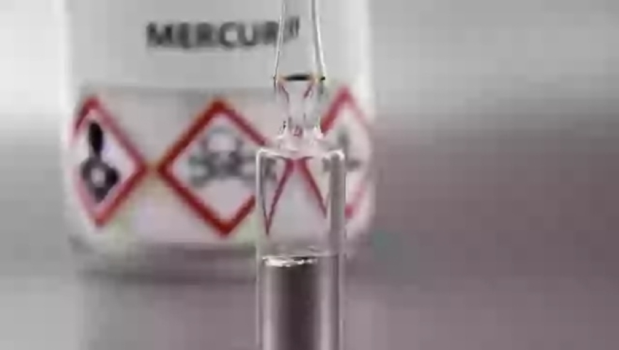 如果方向错了停止就是进步,管家婆精准期选一肖福利活动,确保成语解释落实的问题_扩展版V15.64
