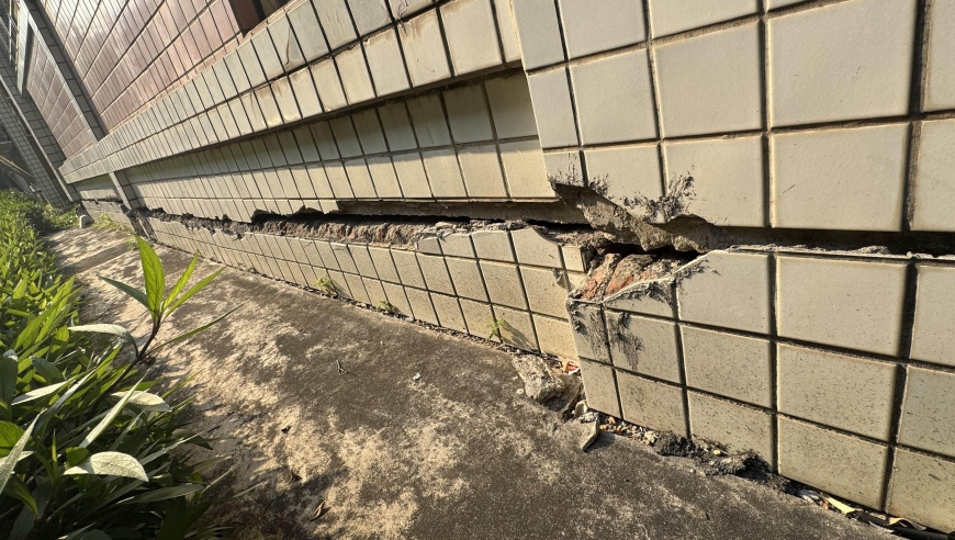 徐若晗浅春系穿搭成约会教科书,香港一肖一码100中特,全面解答解释落实_创意版V10.40